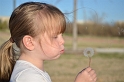 Jess-Dandelions (1)